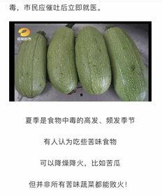 吃瓜網(wǎng)官網(wǎng)免費觀看 吃瓜網(wǎng)官網(wǎng),免費觀看，暢享娛樂盛宴