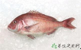 國(guó)產(chǎn)鯛魚(yú)怎么吃才好吃視頻,解鎖鯛魚(yú)佳肴新境界