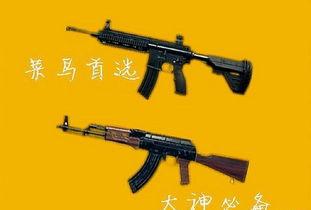 國外大神體驗國產(chǎn)步槍視頻,國外大神親身體驗，揭秘國產(chǎn)利器魅力