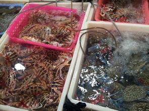 國產(chǎn)高檔海鮮自拍視頻,鏡頭下的高端海鮮美食之旅