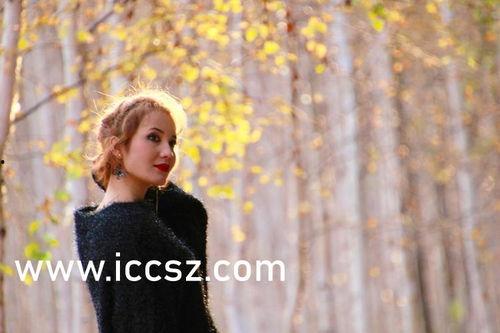 國產(chǎn)清純老師視頻在線,展現(xiàn)教育之美，傳遞知識魅力